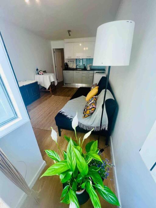 ליסבון Graca Home מראה חיצוני תמונה